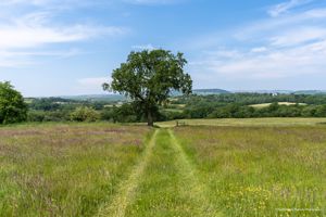 Photo 15- click for photo gallery